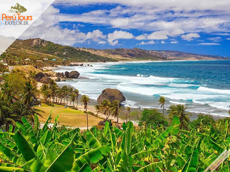 Barbados Tour 4 Días