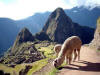 semana santa cusco tour 4 dias