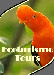 peru ecoturismo tours
