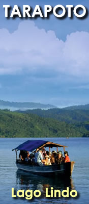 tarapoto peru tours