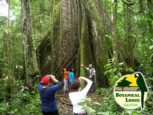 botanical lodge biodiversidad