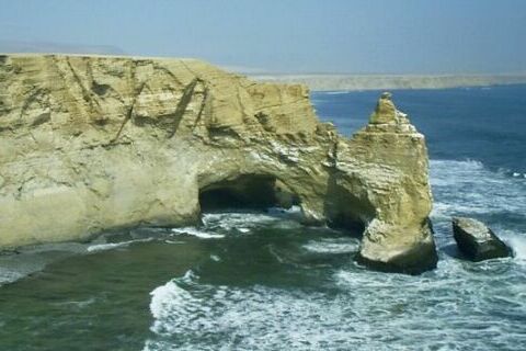 reserva nacional de paracas