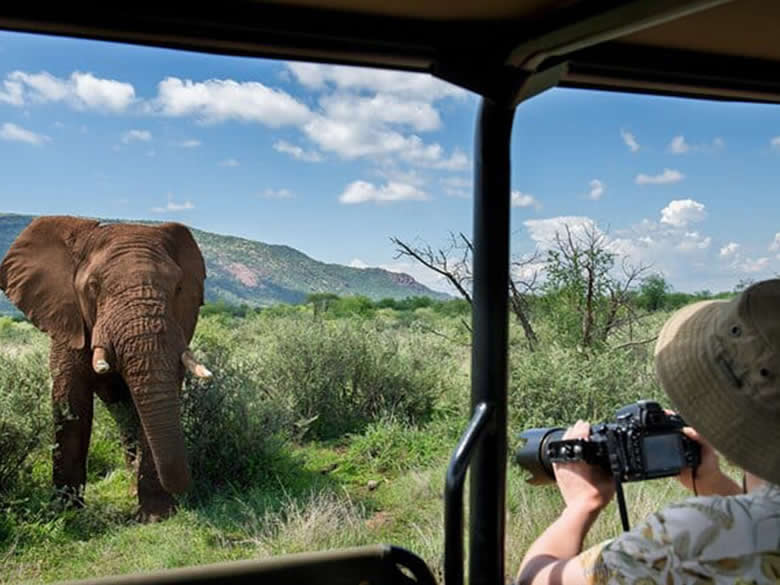 Sueño Sudafricano Tour