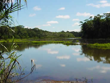 cocha perdida