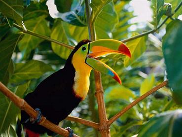 laguna del tucan
