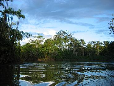 selva amazonica peru