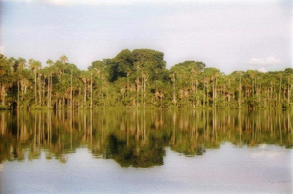 lago sandoval puerto maldonado