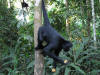 expedicion a tambopata tour