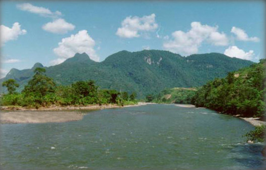 tingo maria parque nacional